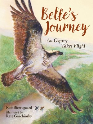 cover image of Belle's Journey